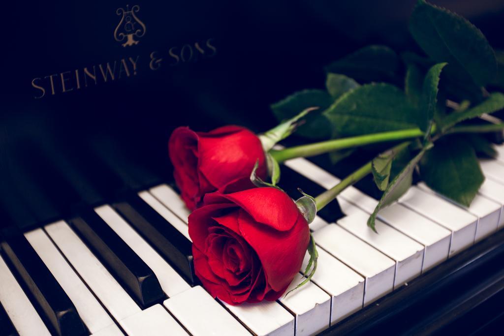 Rose Garden Bed And Breakfast โตรอนโต ภายนอก รูปภาพ